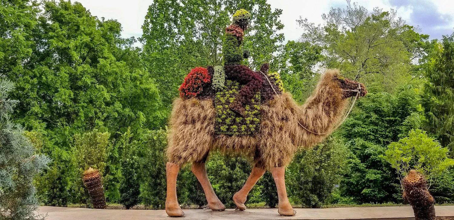 Atlanta Botanical Garden