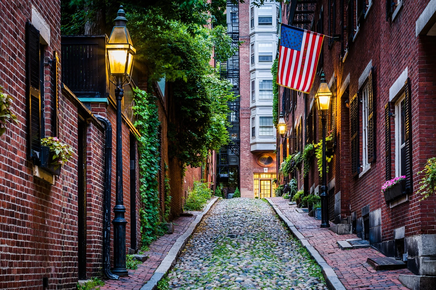 Beacon Hill mini bus rental