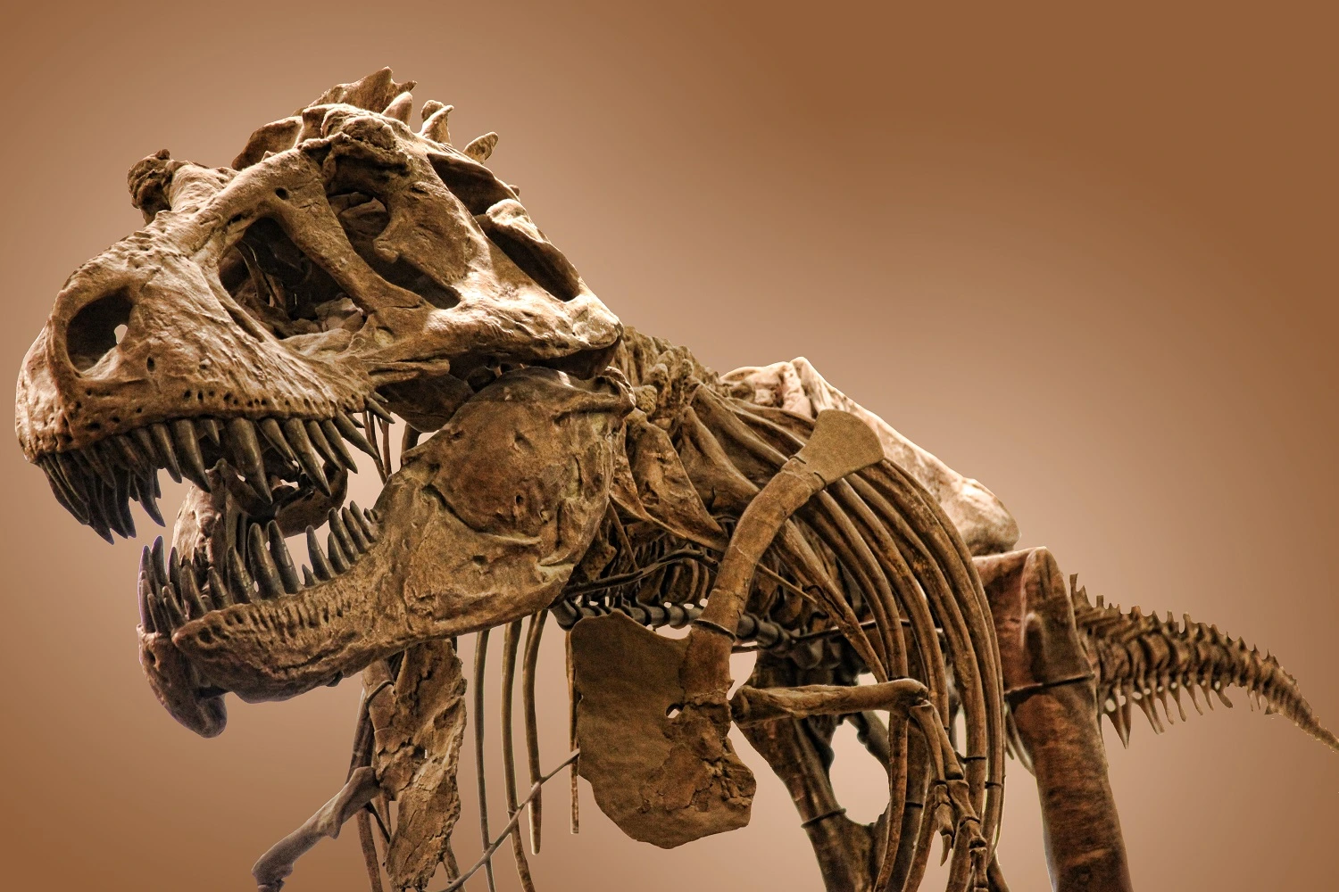 Boston Museum of Science