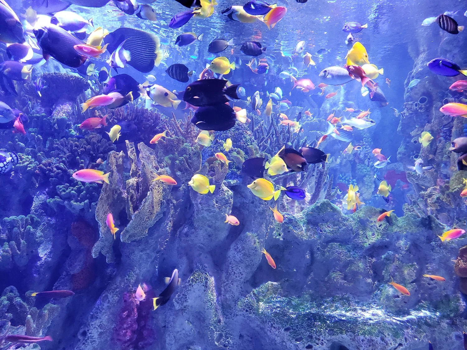 Boston New England Aquarium