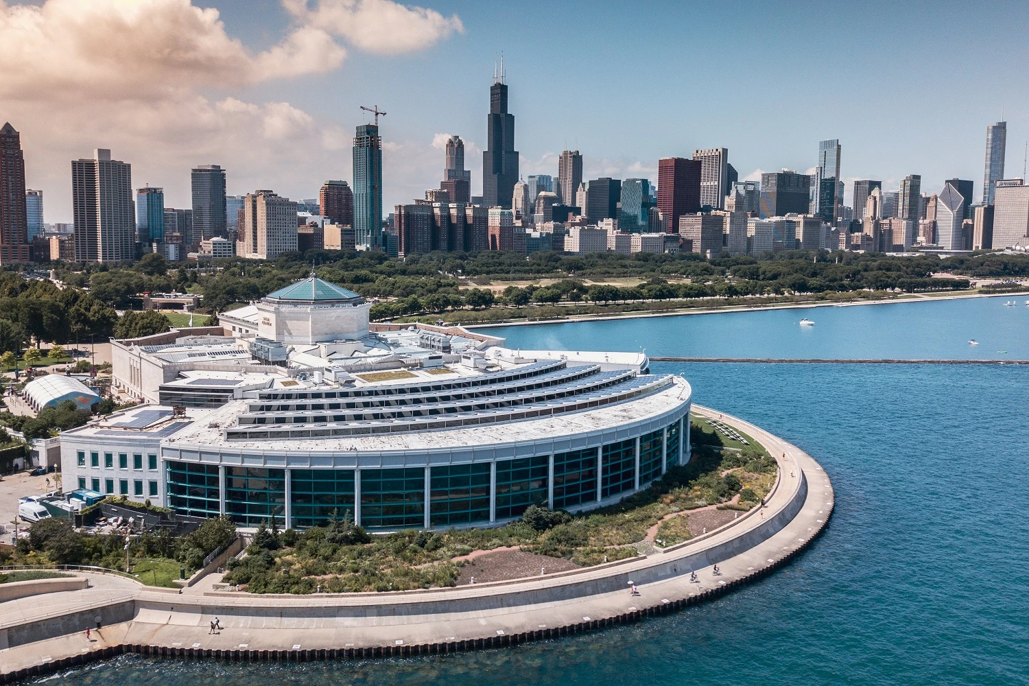 Chicago Shedd Aquarium
