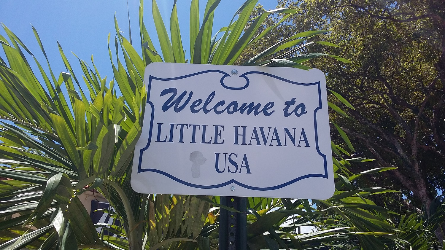 Little Havana bus rentals