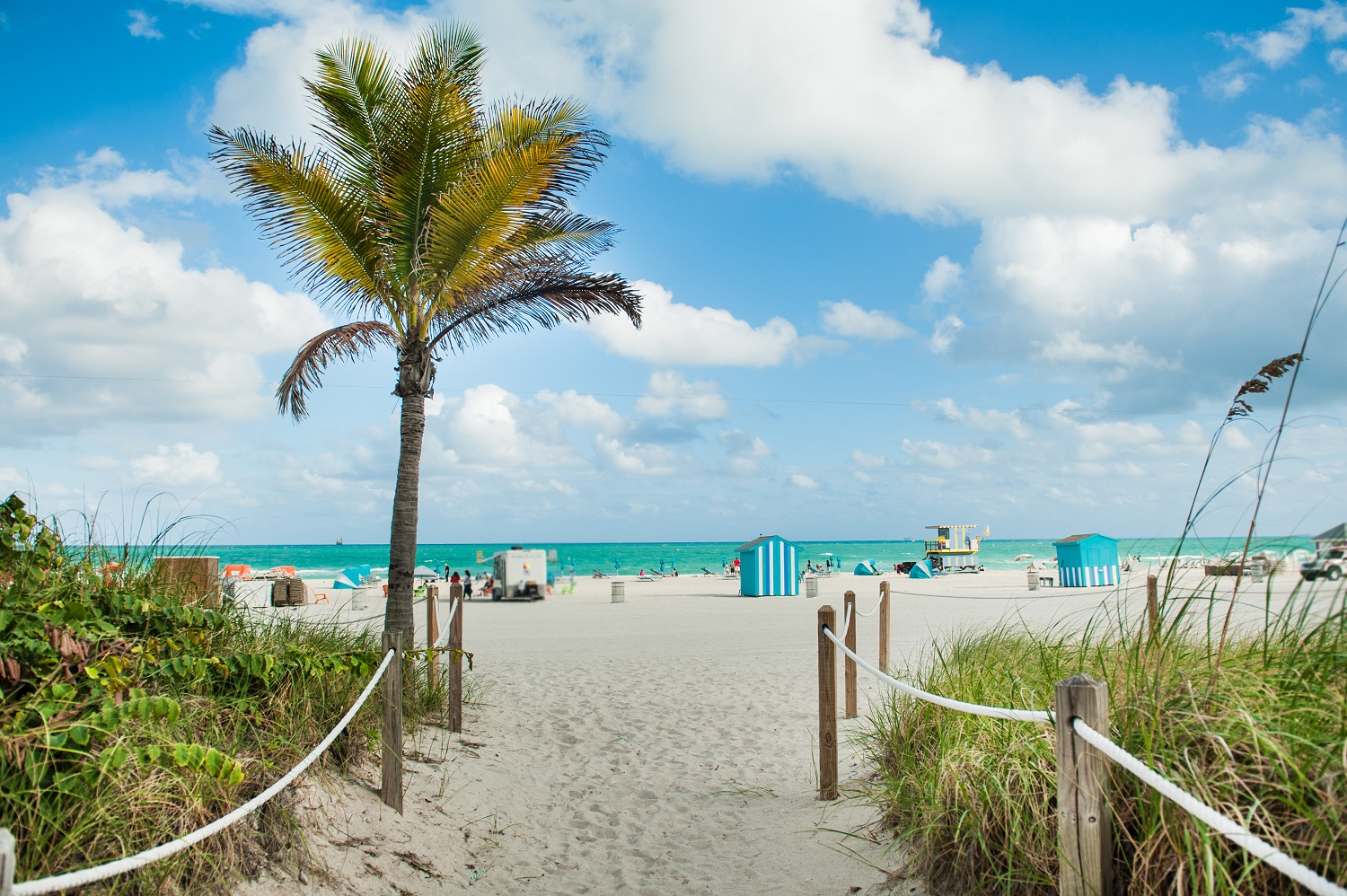 South Beach mini bus rental