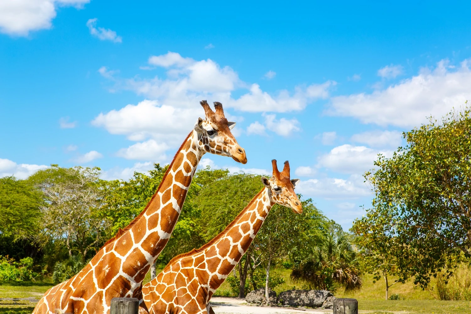 Zoo Miami